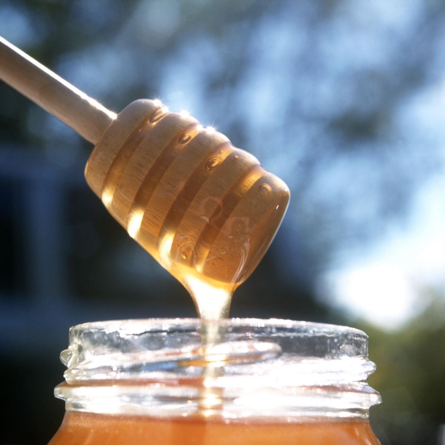 Ginger Infused Honey